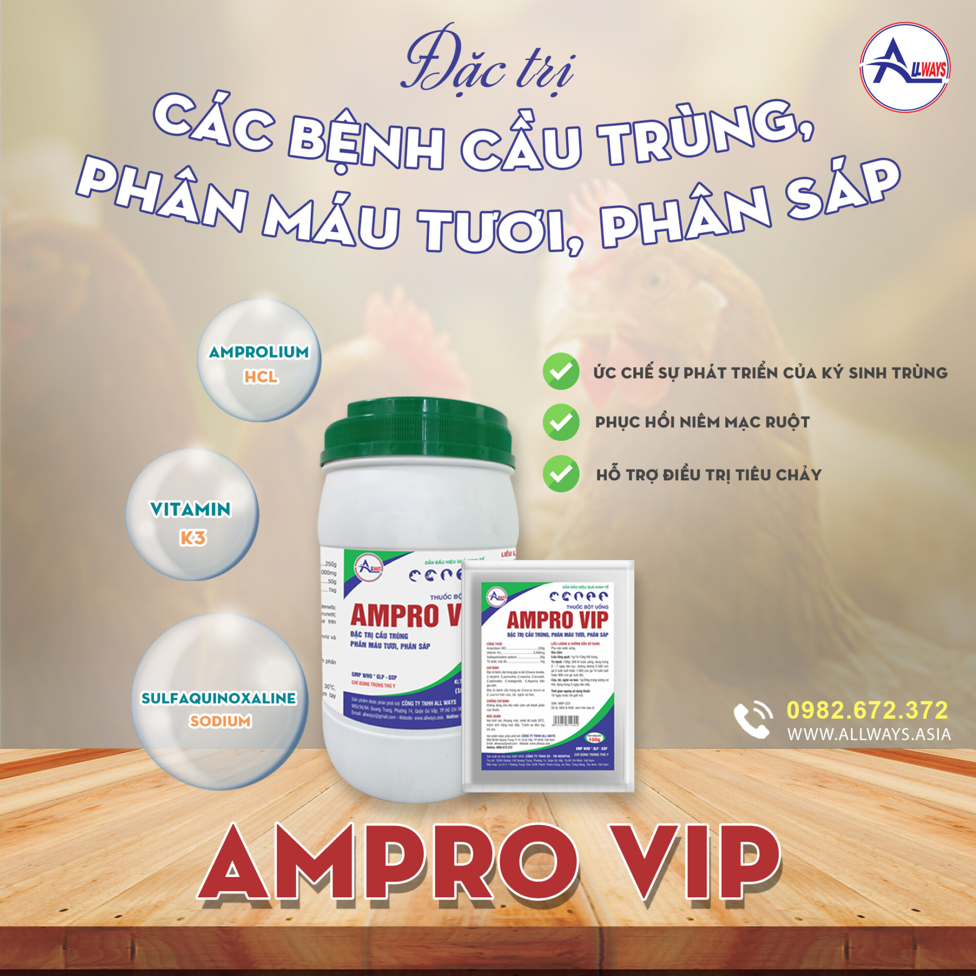 Cách Điều Trị Bệnh Cầu Trùng Trên Gà