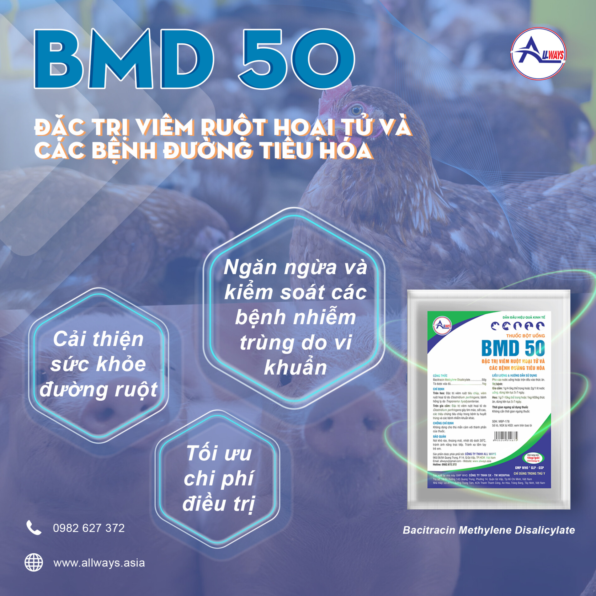 Tìm Hiểu Về Bệnh Viêm Ruột Hoại Tử Trên Gà